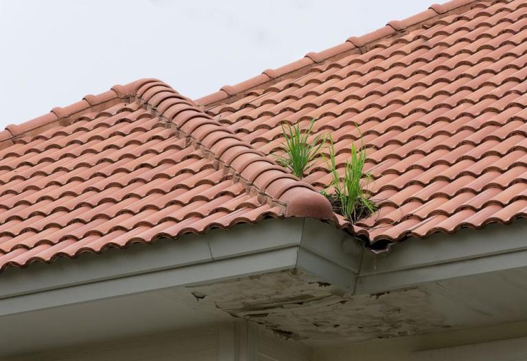 Rénovation de toiture à Castres : quels signes doivent vous alerter ?